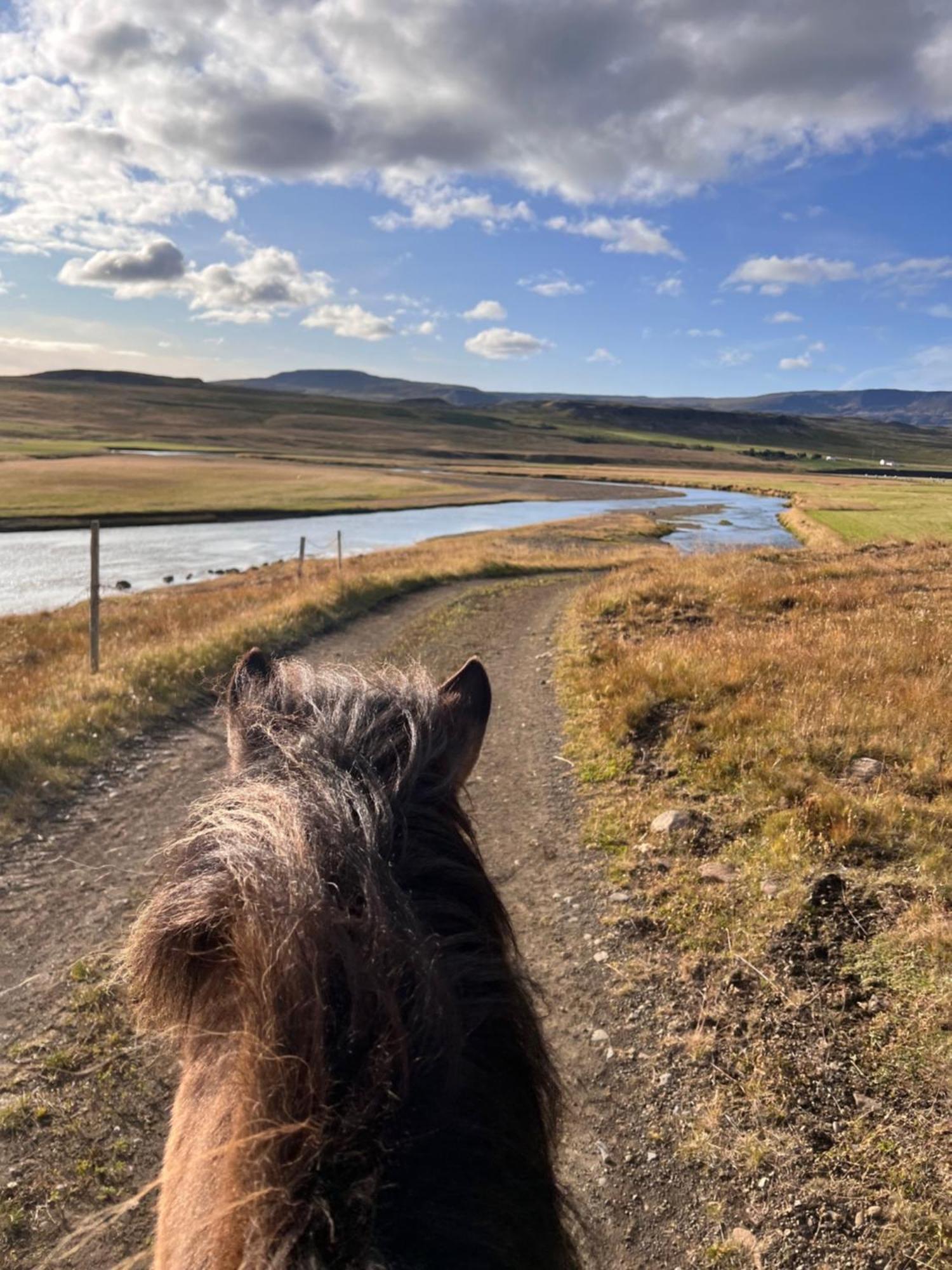 Stora-Asgeirsa Horse Farm Stay Vithigerthi Экстерьер фото