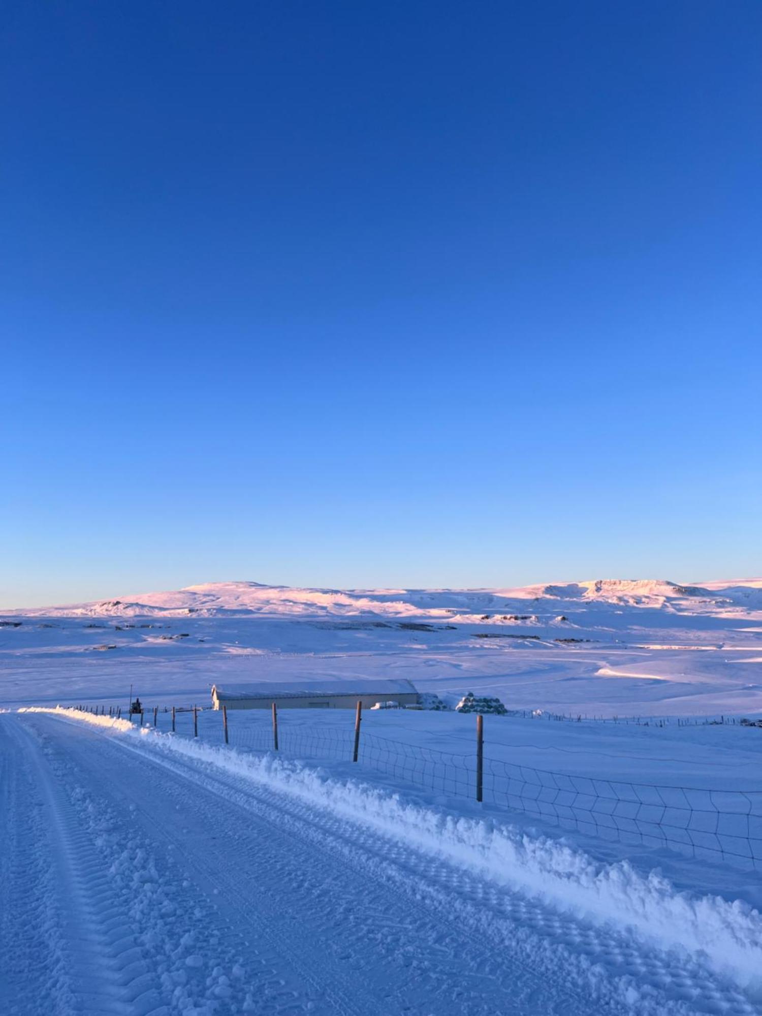 Stora-Asgeirsa Horse Farm Stay Vithigerthi Экстерьер фото
