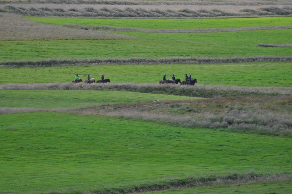 Stora-Asgeirsa Horse Farm Stay Vithigerthi Экстерьер фото